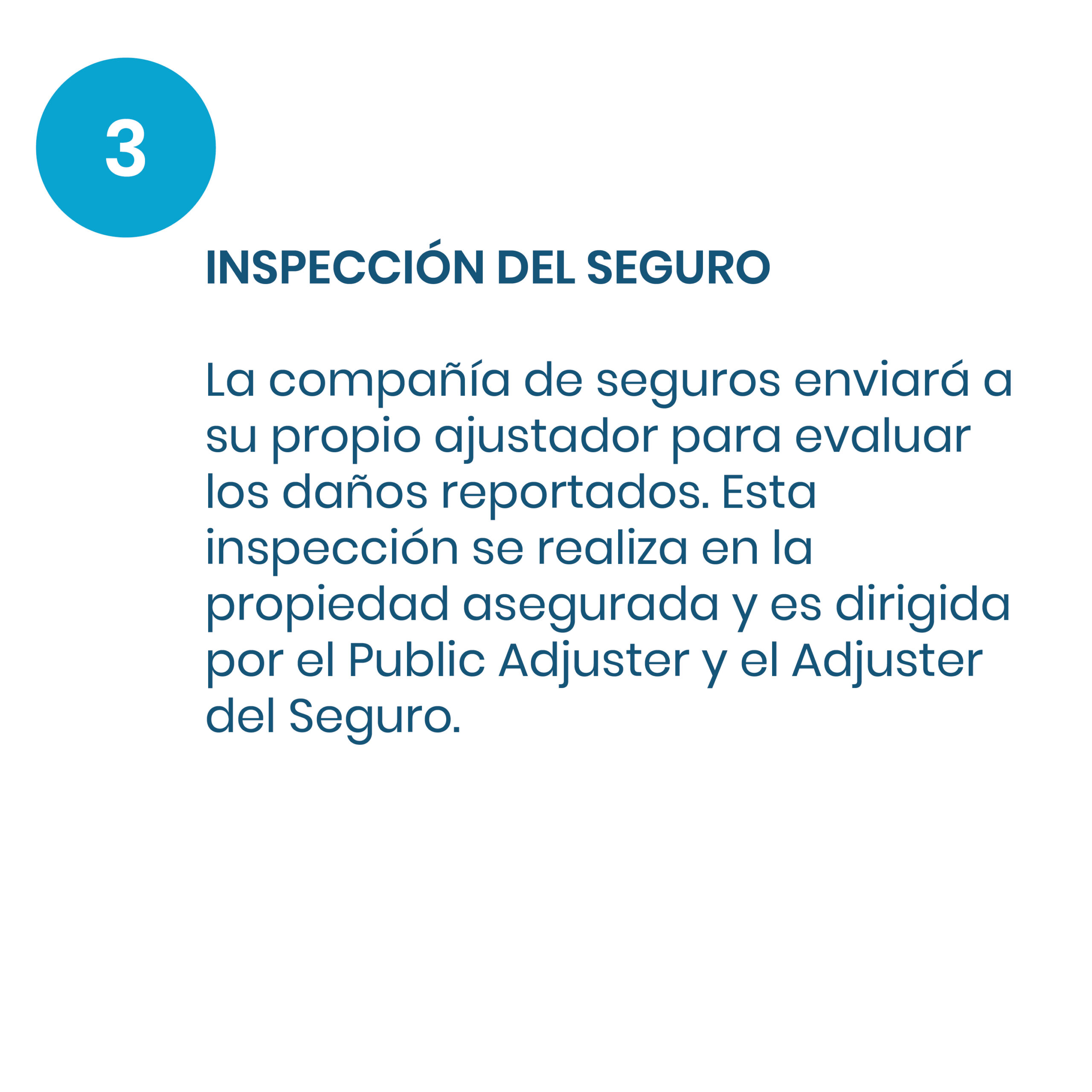 PROCESO-03